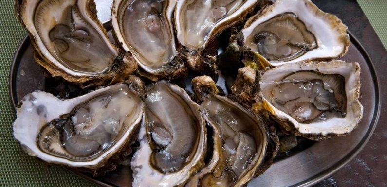 Repas de fête : Huîtres, boudin, bûche pâtissière… Vous adorez ou détestez ? Racontez-nous