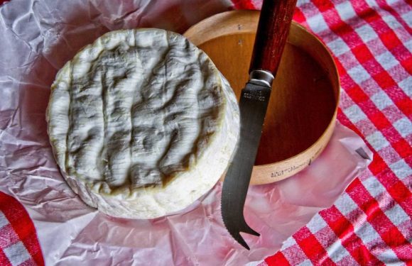 Les réponses aux 5 questions que se posent les fanas de fromage