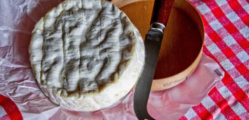 Les réponses aux 5 questions que se posent les fanas de fromage