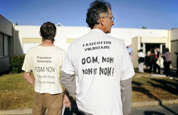 Brest : Le port de commerce bloqué par des militants anti-OGM