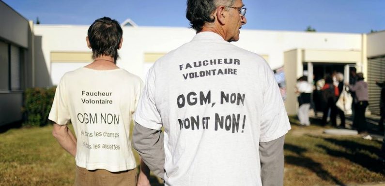Brest : Le port de commerce bloqué par des militants anti-OGM