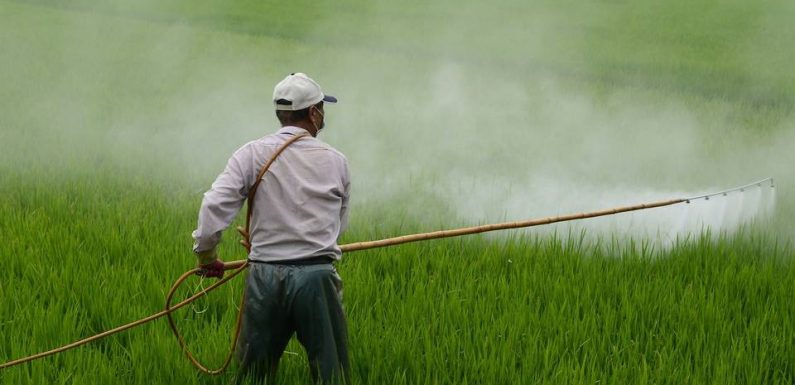 Cher : Un agriculteur qui avait épandu des pesticides à proximité d’enfants condamné à 5.000 euros d’amende