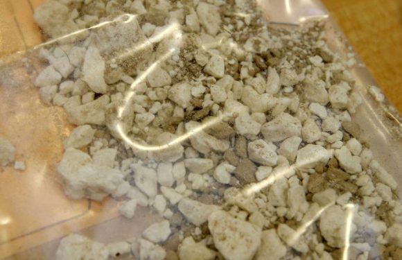 Antilles : Près de 300 kilos de cocaïne et cannabis saisis, 13 personnes interpellées