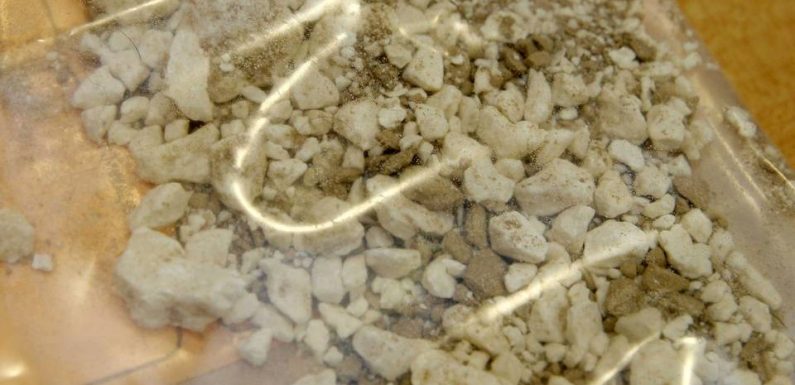 Antilles : Près de 300 kilos de cocaïne et cannabis saisis, 13 personnes interpellées
