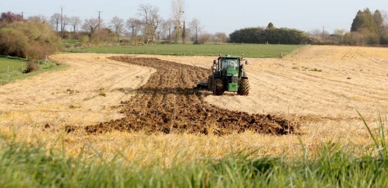 Bretagne: Qui est Eureden, le nouveau mastodonte de l’agriculture bretonne
