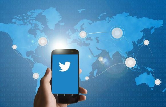 Les faux avis de recherche sur le Net, nouvelle technique pour localiser ou « stalker » des inconnus ?