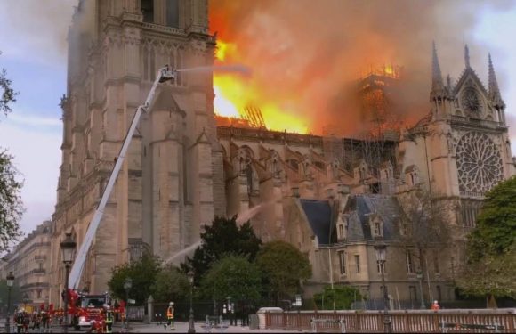 VIDEO. Les replays de la semaine : « La Bataille de Notre-Dame »… Des courts-métrages en route pour les César…