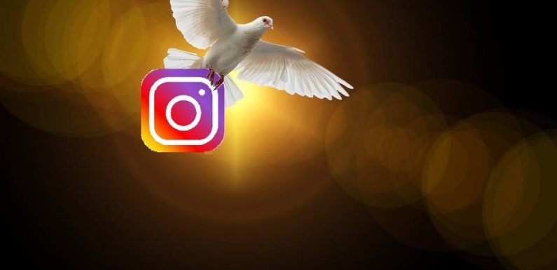 Instagram: Pourquoi les catholiques l’investissent de plus en plus pour évangéliser et partager leur foi?