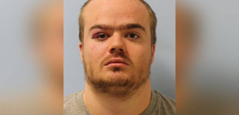 Londres : Un Britannique plaide coupable d’avoir jeté un garçon français du 10e étage du Tate Modern