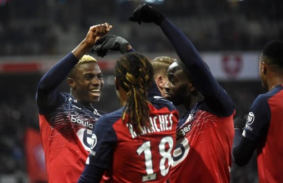Losc-Brest : Petit à petit, Lille se refait son nid en haut de la Ligue 1