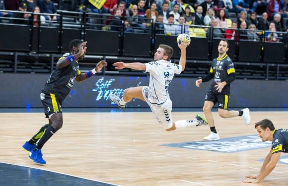 Handball : « Tout le monde va plus se méfier de nous », lance Luc Steins, symbole de la renaissance du Fenix Toulouse