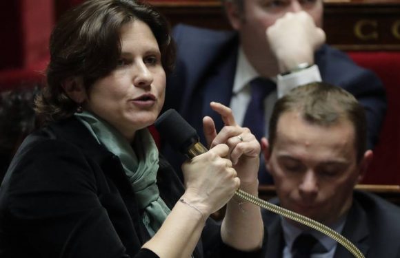 Maracineanu exfiltrée de Bauer : La ministre parle d’un « trop plein de violence de la part d’une minorité de personnes »