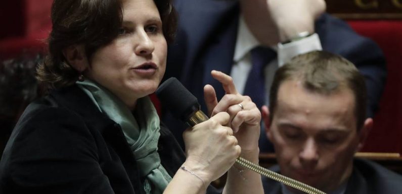 Maracineanu exfiltrée de Bauer : La ministre parle d’un « trop plein de violence de la part d’une minorité de personnes »