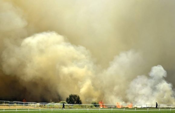 Australie : A cause des fumées toxiques, Sydney face à « une urgence de santé publique »