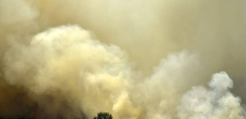 Australie : A cause des fumées toxiques, Sydney face à « une urgence de santé publique »