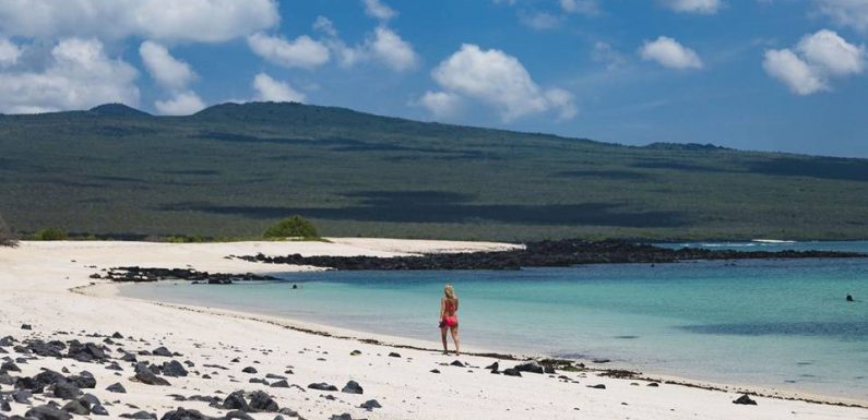 Une nappe de diesel issue d’un naufrage menace les Galapagos