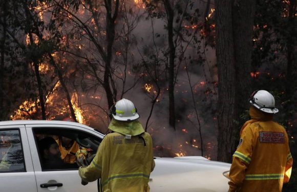 Australie : L’Est du pays suffoque, sous la fumée des incendies