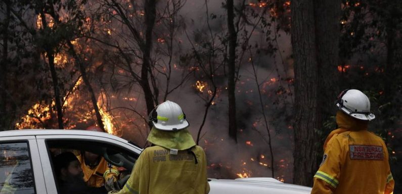 Australie : L’Est du pays suffoque, sous la fumée des incendies