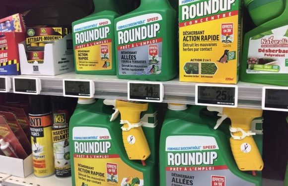 Glyphosate : Retrait de 36 produits en France