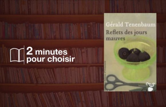 « Reflets des jours mauves » et autres secrets d’une vie