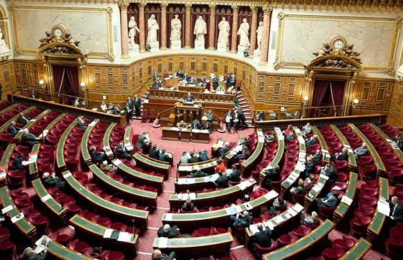 Violences conjugales : Le bracelet antirapprochement définitivement adopté