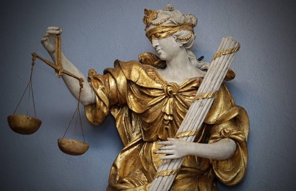 Un ultra-nationaliste condamné à sept ans de prison pour des velléités d’attaque