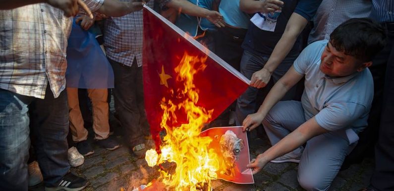 Persécutions des Ouïghours en Chine : « Les Ouïghours sont aux avant-postes d’une politique globale de surveillance »