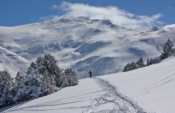 Pyrénées : Six ans après sa fermeture faute de neige, la station Puigmal remonte la pente