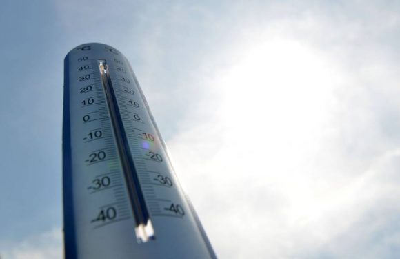 Languedoc-Roussillon : Il fait beaucoup plus doux que la normale, Météo France annonce un « Noël au balcon »