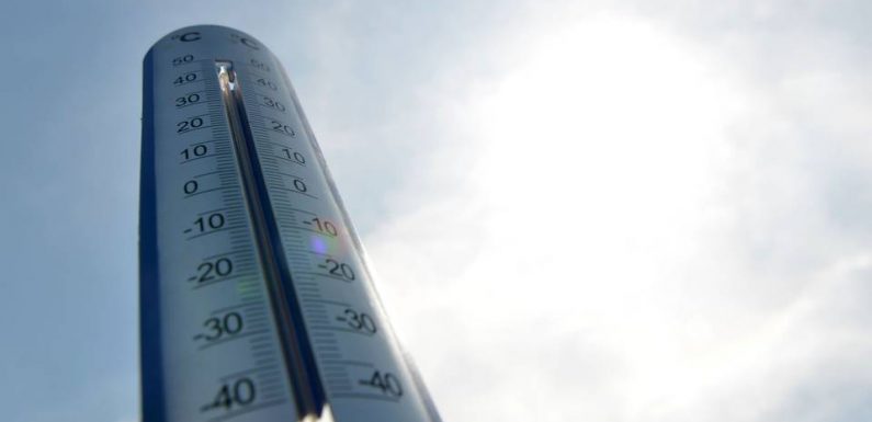 Languedoc-Roussillon : Il fait beaucoup plus doux que la normale, Météo France annonce un « Noël au balcon »