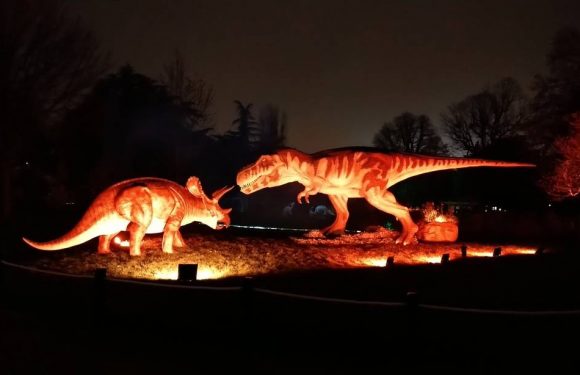 VIDEO. Avec « Prehistoric Safari », les dinosaures envahissent le Jardin d’Acclimatation en nocturne