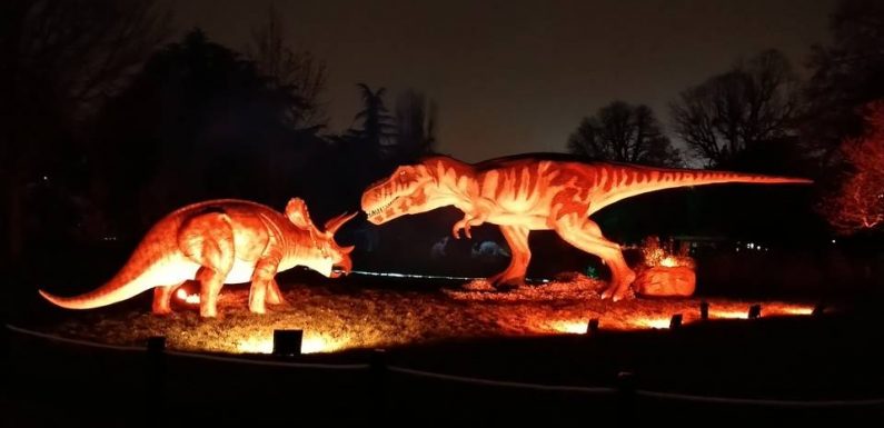 VIDEO. Avec « Prehistoric Safari », les dinosaures envahissent le Jardin d’Acclimatation en nocturne