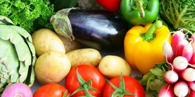 Togo: Téléfood offre une bourse d’étude en ‘Agrobusiness’