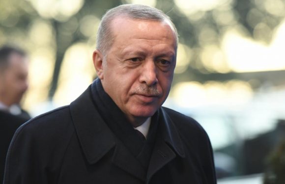 La Turquie a renvoyé 11 présumés djihadistes français