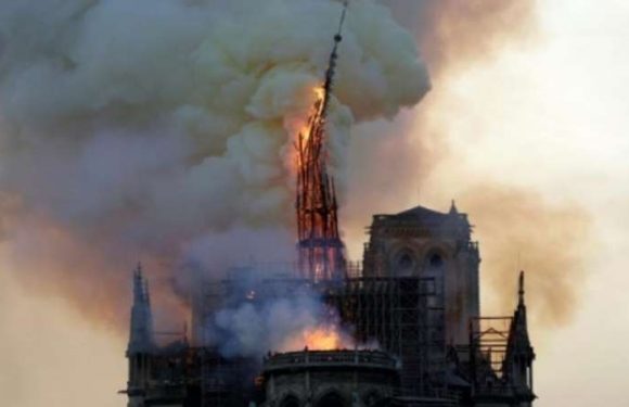 Rétro 2019 : Notre-Dame de Paris, Gilets jaunes, Jacques Chirac… une année en France