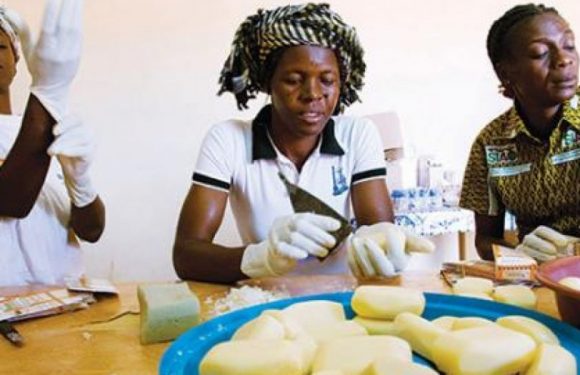 Togo :grâce à PASA, plus de 150 entrepreneurs sont visibles