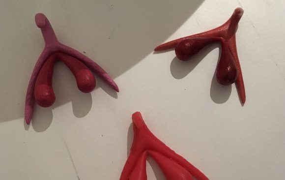 Plaisir et procréation, le clitoris aurait-il deux fonctions?