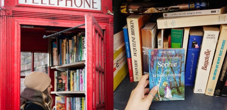 Lecture : cette application localise les boîtes à livres