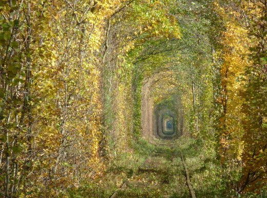 Tunnel of Love