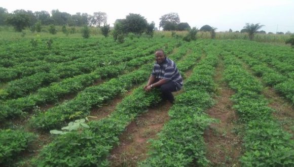 Green Agri Nova : un modèle de réussite de l’entrepreneuriat agricole