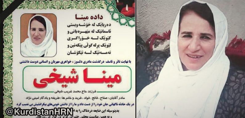 Report on Death of Kurdish Civilian During November Protests in Tehran