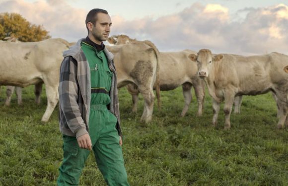 Il travaille 70 heures par semaine : l’éprouvant carnet de bord d’un paysan