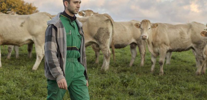 Il travaille 70 heures par semaine : l’éprouvant carnet de bord d’un paysan