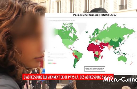 Micro-trottoir : féminicides et immigration