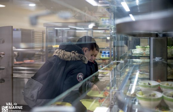 Menu végétarien à la cantine : obéir ou désobéir à la loi « pour le bien » des enfants ?