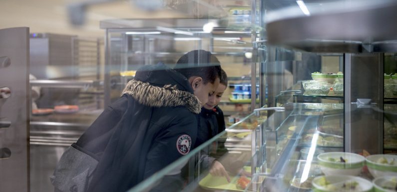 Menu végétarien à la cantine : obéir ou désobéir à la loi « pour le bien » des enfants ?