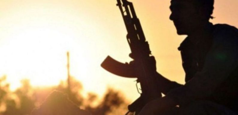 Peines réduites en appel pour deux djihadistes toulousains partis en Syrie