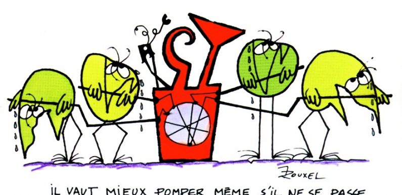 « Bullshit jobs » : quand la réalité surpasse le monde des Shadoks