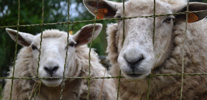 Internet est-il en train de devenir l’outil qui réduira nos libertés ?
