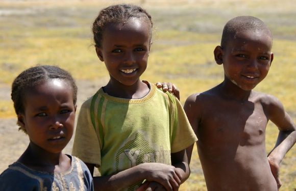Afrique : comment réguler la croissance démographique ?